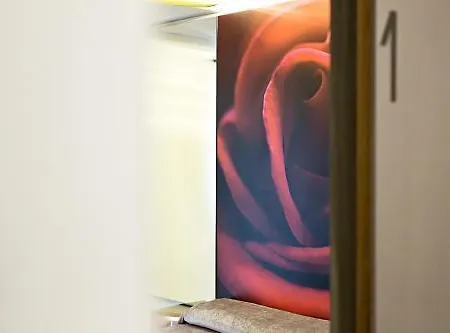 Hotel Tiro A Volo